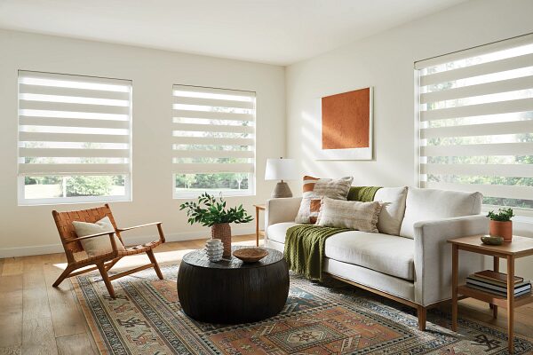 Zebra Shade Signature Series | Blinds Concept